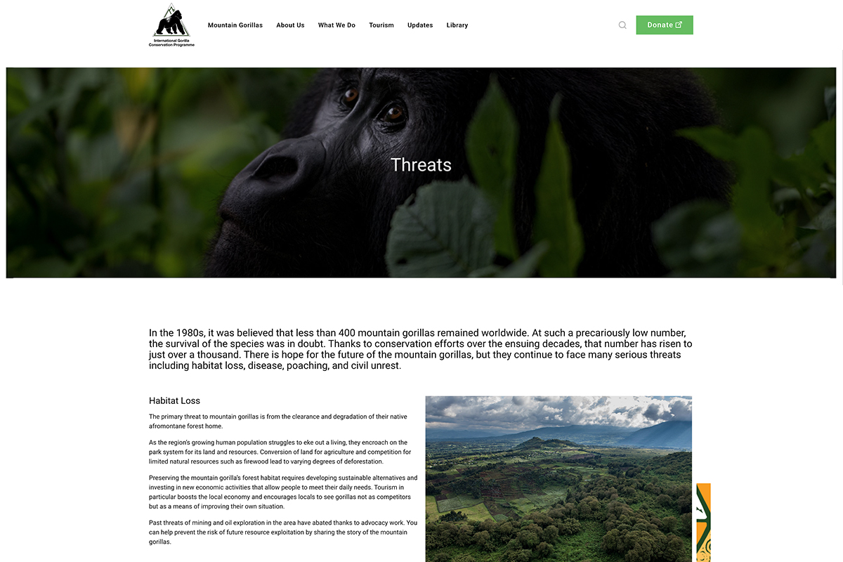gorillas-in-the-mist-web-1